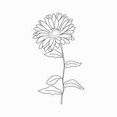 Coloring book. Hand drawn. Black and white. children. Flowers.