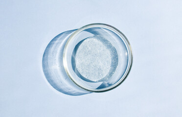 petri dish with transparent helium serum	
