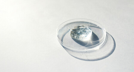 petri dish with transparent helium serum	

