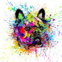 Gordijnen abstract colored dog muzzle isolated on colorful background color art © reznik_val