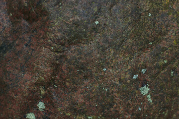 Old forest stones covered with moss against the background of fallen autumn leaves and pine needles