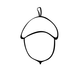 Vector simple hand drawn illustration of a acorn isolated on white background, black outline. Nature, forest clip art, black and white Doodle.