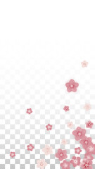 Vector Realistic Pink Flowers Falling on Transparent Background.  Spring Romantic Flowers Illustration. Flying Petals. Sakura Spa Design. Blossom Confetti. Design Elements for Wedding Decoration.