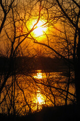 sunset landscape reflected in the water, sunlight visible through the bare branches of trees. vertical snapshot.