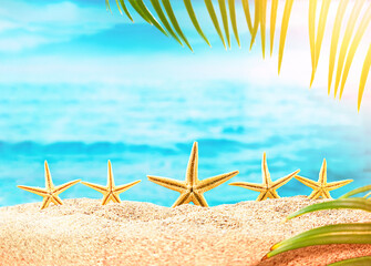 Fototapeta na wymiar Orange starfish on sandy beach with branch of palm tree, sea is behind. Vacation, travel concept