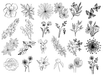 Line art flowers on white background. Set of botanical icons. Isolated illustration