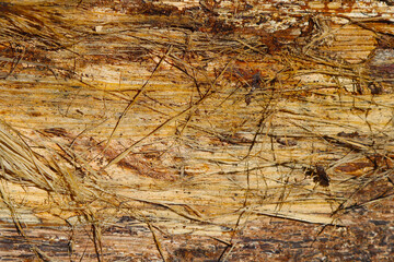 Surface texture of rotten oak wood.
