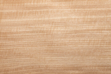 Wood texture background. Wooden texture for design and decoration