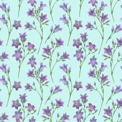 Seamless pattern with blue spreading bellflower flowers (Campanula patula, little bell,  bluebell, rapunzel, harebell). Hand drawn watercolor painting illustration isolated on blue background.