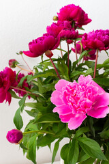 Peonies close up, part of a home interior, house decoration with flowers, cozy summer background