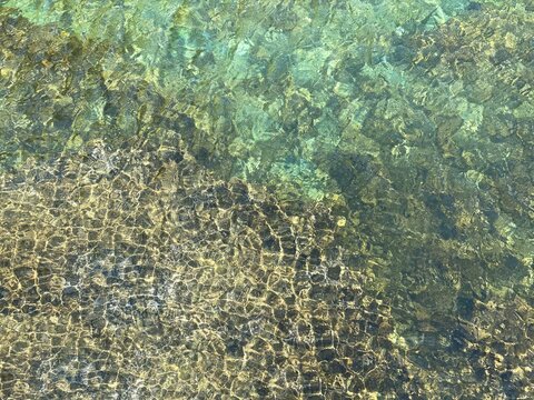 Sea water green clear reef seaweed surface. Glittering transparent sea waters. Beautiful seascape.