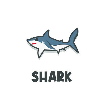 Shark cartoon icon illustration logo