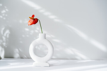 Modern minimalist nordic round ceramic vase with red flower of Anthurium on the white background...
