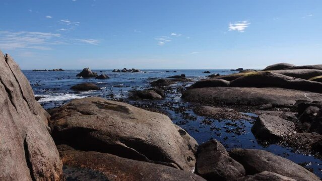 West coast of south africa