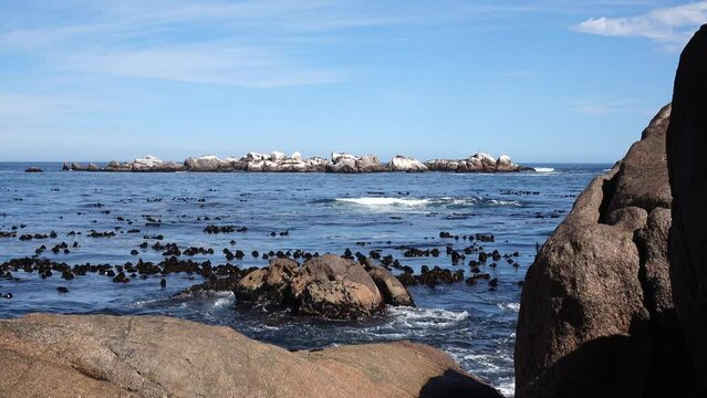 West coast of south africa