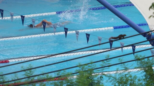 Squirrel on An Electric Line With Swimming Training in the Background