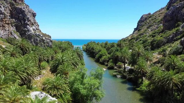 The palm beach of Vai or palm forest of Vai filmed by a drone. Located on the east coast of the Greek island Crete. The river flows through the palm forest flows into the open sea.