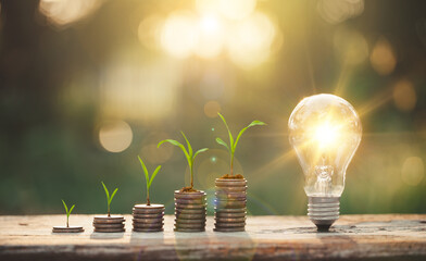 Light bulb Energy saving and a coin glass on the floor nature background saving Investment concept, Growing Money, Plant On Coins, Finance And Investment Concept.