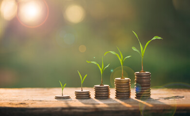 saving Investment, trade, save and make a profit with interest, Growing Money, Plant On Coins,...