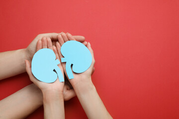 People holding paper cutout of kidneys on red background, top view. Space for text