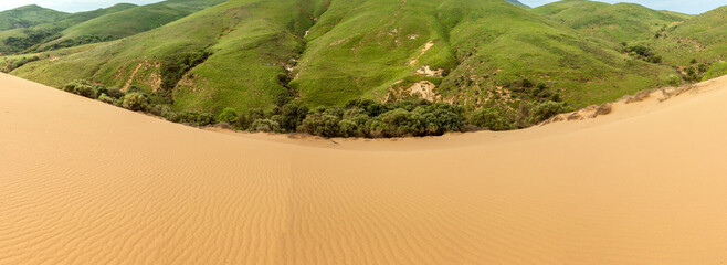 Extraordinary landscape of sand dunes and natural grass, coexisting at Ammothines (