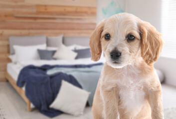 Adorable puppy in bedroom, space for text. Pet friendly hotel