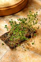 Micro greens on beige background, tile, in sunny light. Sunshine, Eastern concept. Minimalistic, copy space