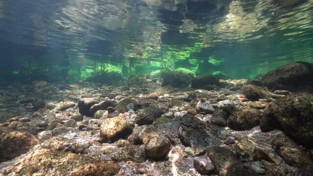 Underwater landscape in a river in shallow water with small rocks and ripples of water surface, Spain, Galicia