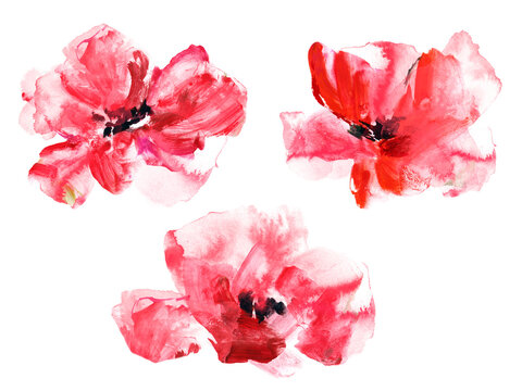Watercolor red flowers set. Poppy flower painting. Floral decor for greeting card, wedding invitation. 