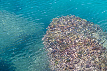 Water ripple over rocks in the beach.
