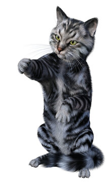 Silver tabby siberian cat standing up and reaching out its paw. 3d render isolated on white
