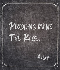 wins the race Aesop