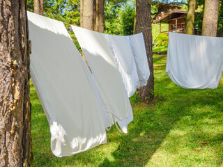 fresh white laundry hanging on a washing rope between pine trees outdoor in a summer camp in a forest, close up photo