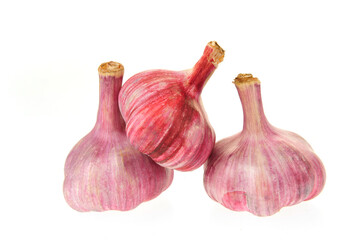 Fototapeta premium Garlic isolated on white background