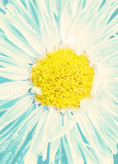 Yellow-blue flower in water drops. Vertical macro photo for design, postcard, background. No focus image, selective focus.