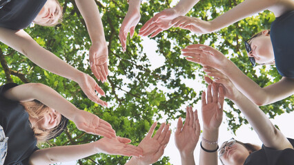 Fototapeta premium The girlfriends join their palms in a circle against the background of tree branches.