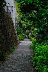 Fototapeta premium 神宮外苑周辺の風景 霞町、新宿区、北青山、港区、東京、日本