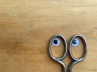 the handle of metal scissors with eyes looks around
