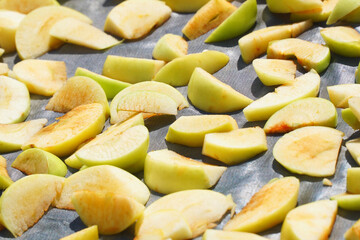 Fresh sliced apple cooked for the drying