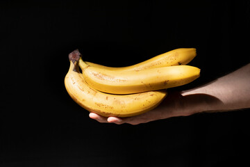 Man hand holds bunch of ripe bananas on black background