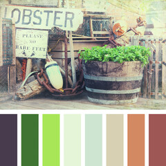 Lobster pots and quayside in a colour palette with complimentary colour swatches. 
