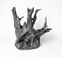 Black dead stump tree roots to decorate the scene on a white background.