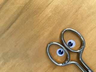 the handle of metal scissors with eyes looks around
