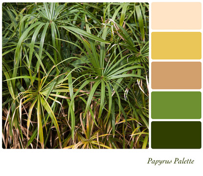 Papyrus in a colour palette with complimentary colour swatches in green, natural tones. 