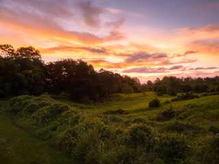 sunset over the field