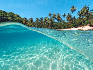 Tropical Island Palm and underwater
