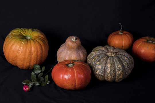 Golden And Green Old Pumpkin Vegetables Grain Food Crops