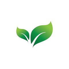 Logos of green Tree leaf ecology nature element vector