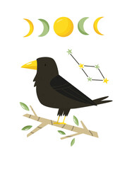Fototapeta premium Vector illustration of a raven, constellation and moon phases