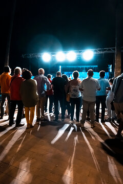 Público disfrutando de un concierto al aire libre en verano por la noche